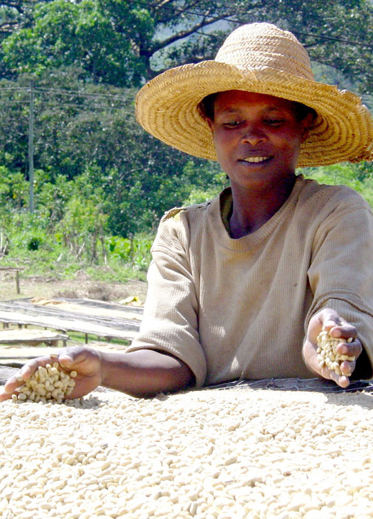 Café grain bio et équitable - Destination Bio